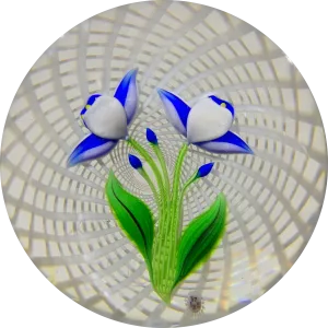 Baccarat 1975 LE Lampwork Blue & White Cornflower on White Spiral Filigree
