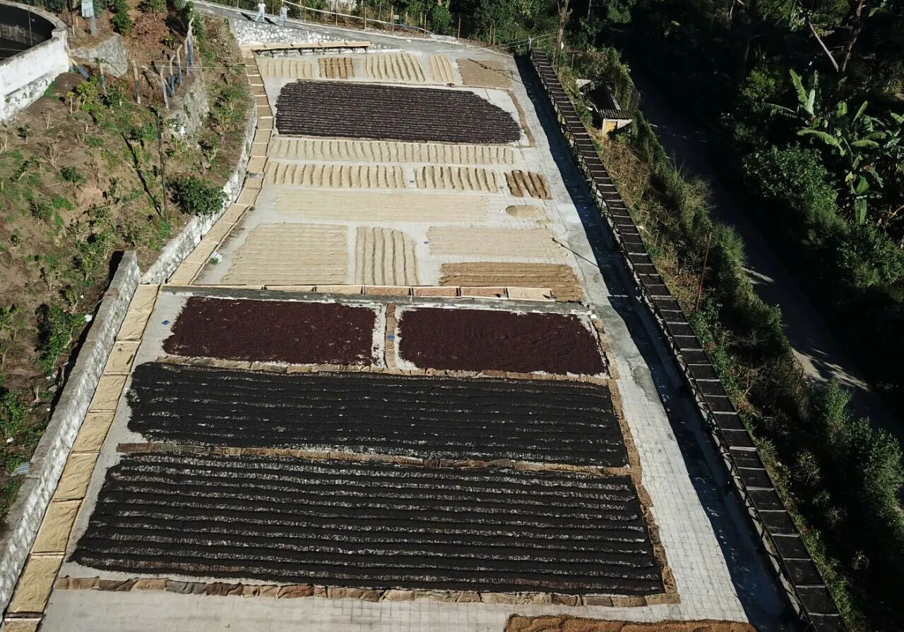 EL SALVADOR FINCA SAN FRANCISCO 1KG