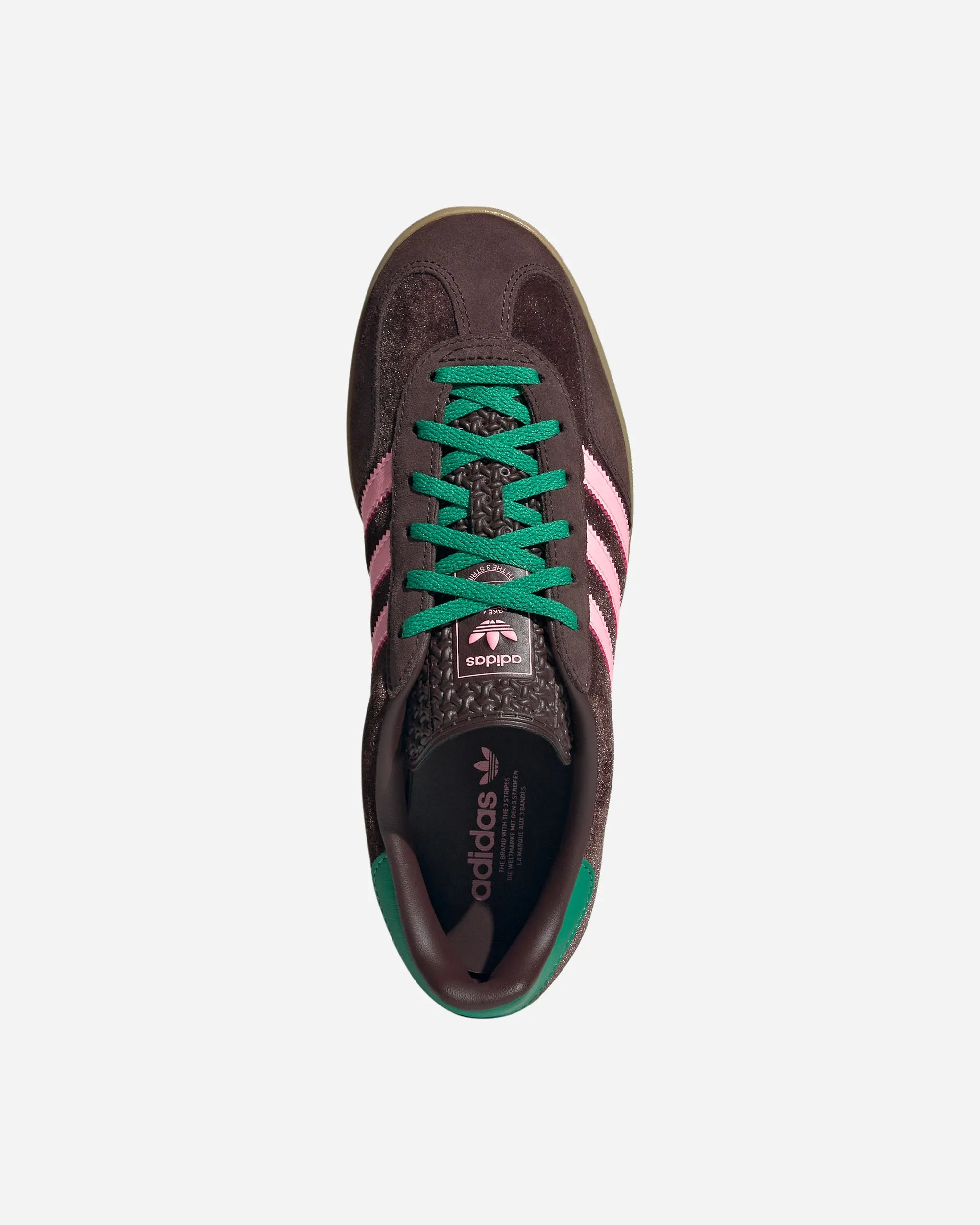 Gazelle Indoor
