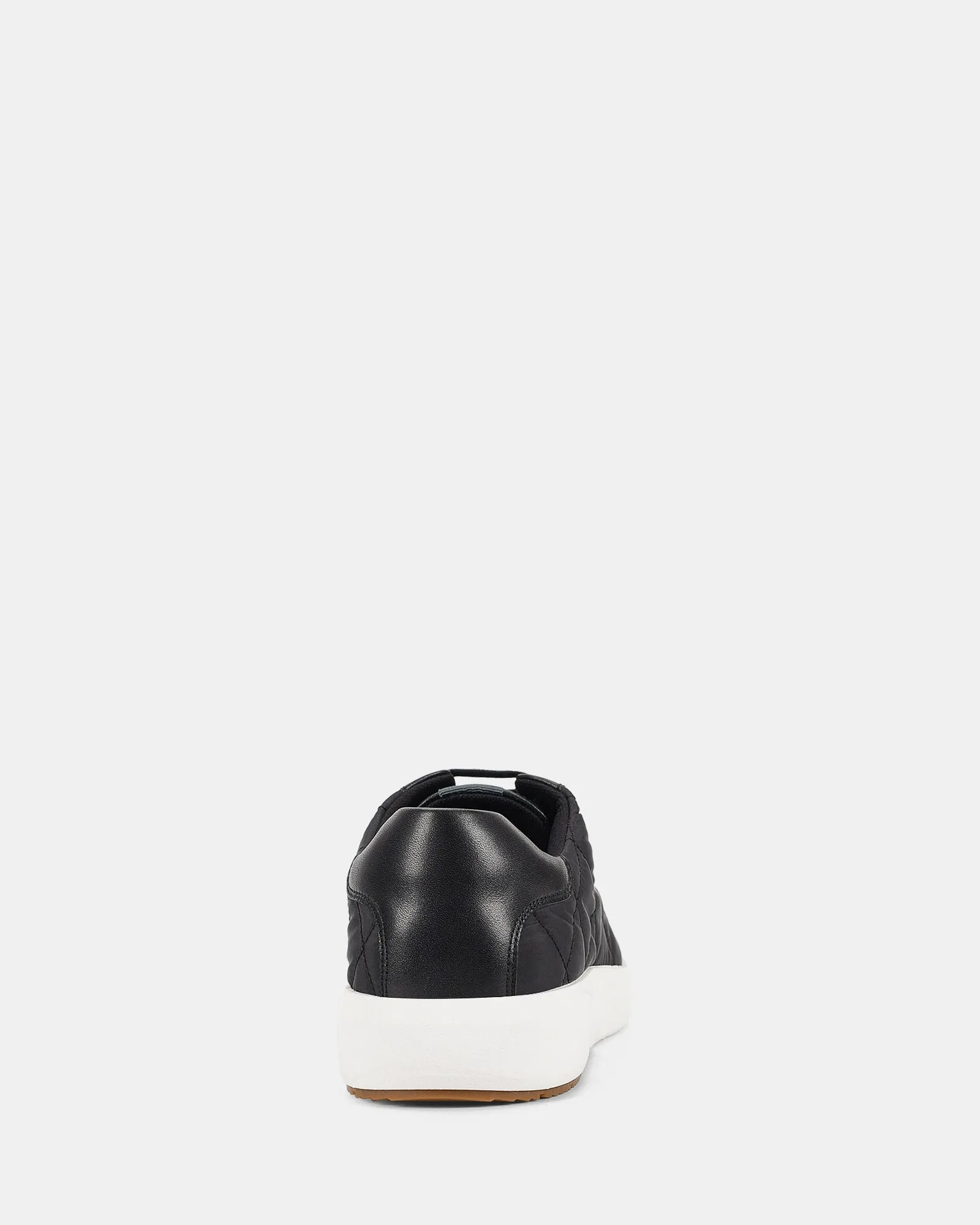 Halo Black