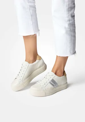 Paul Green 5330015- Trainer