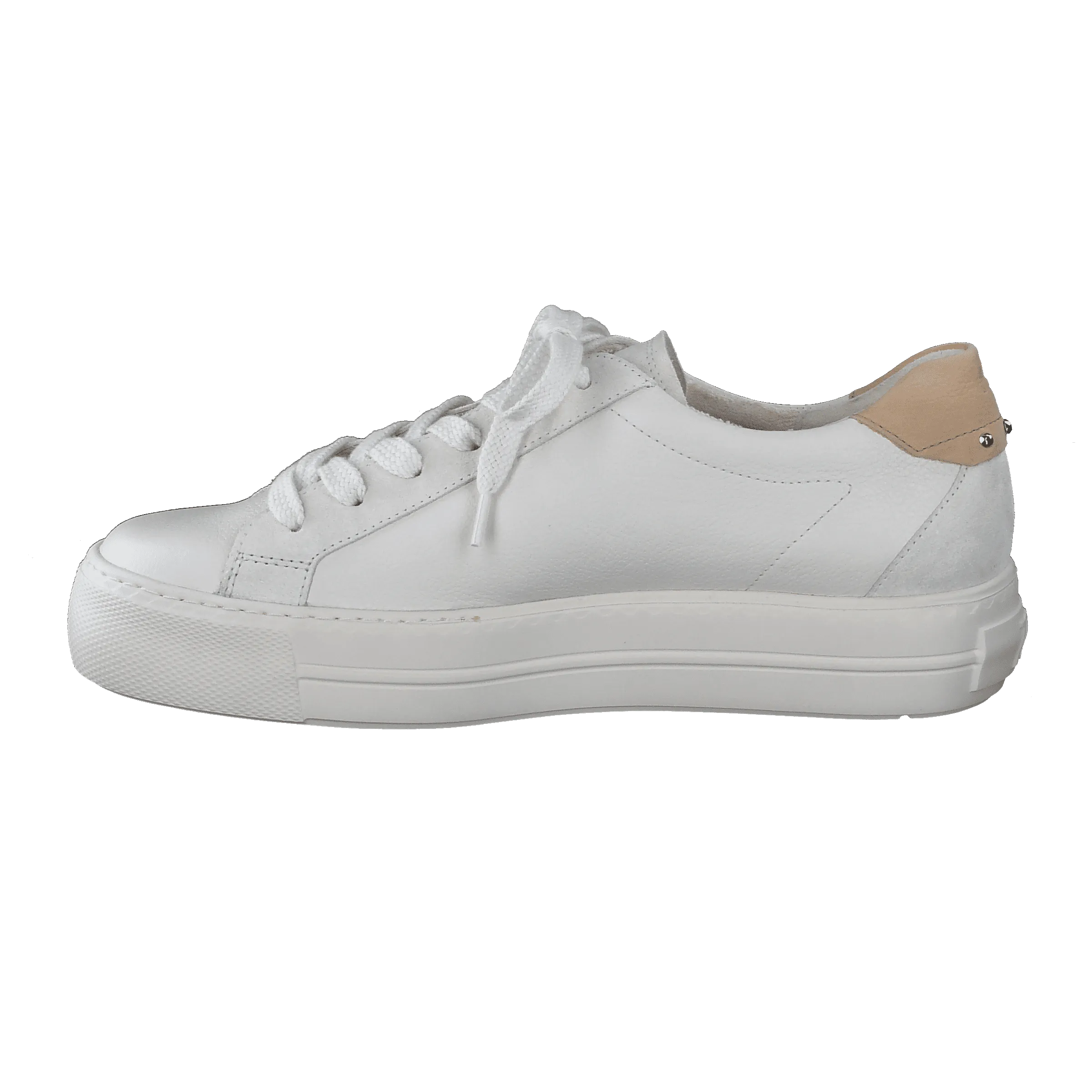 Paul Green 5330015- Trainer