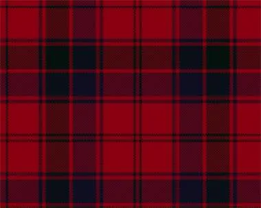 Robertson Modern Tartan Suspenders