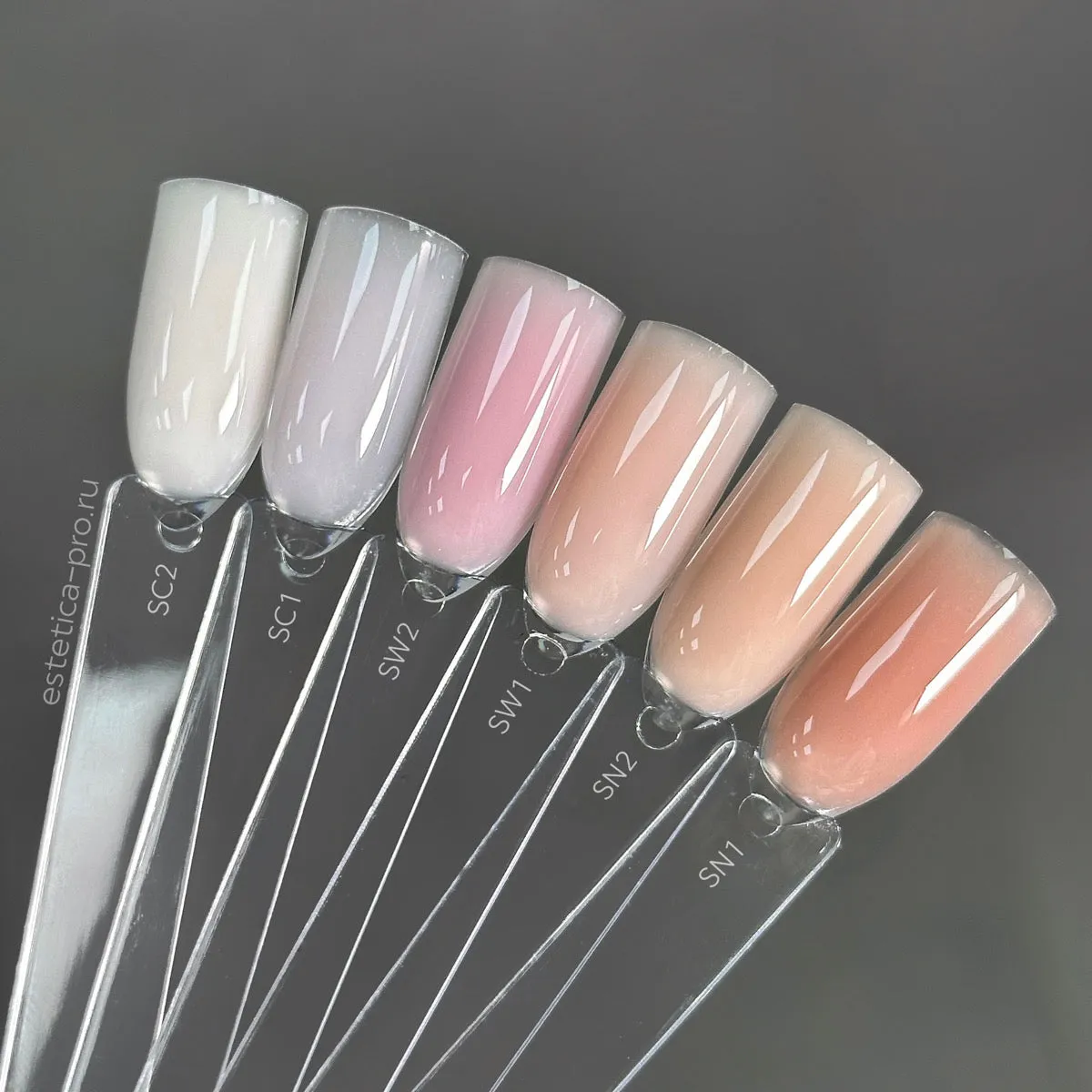 SC1 Trinity Shades Cool