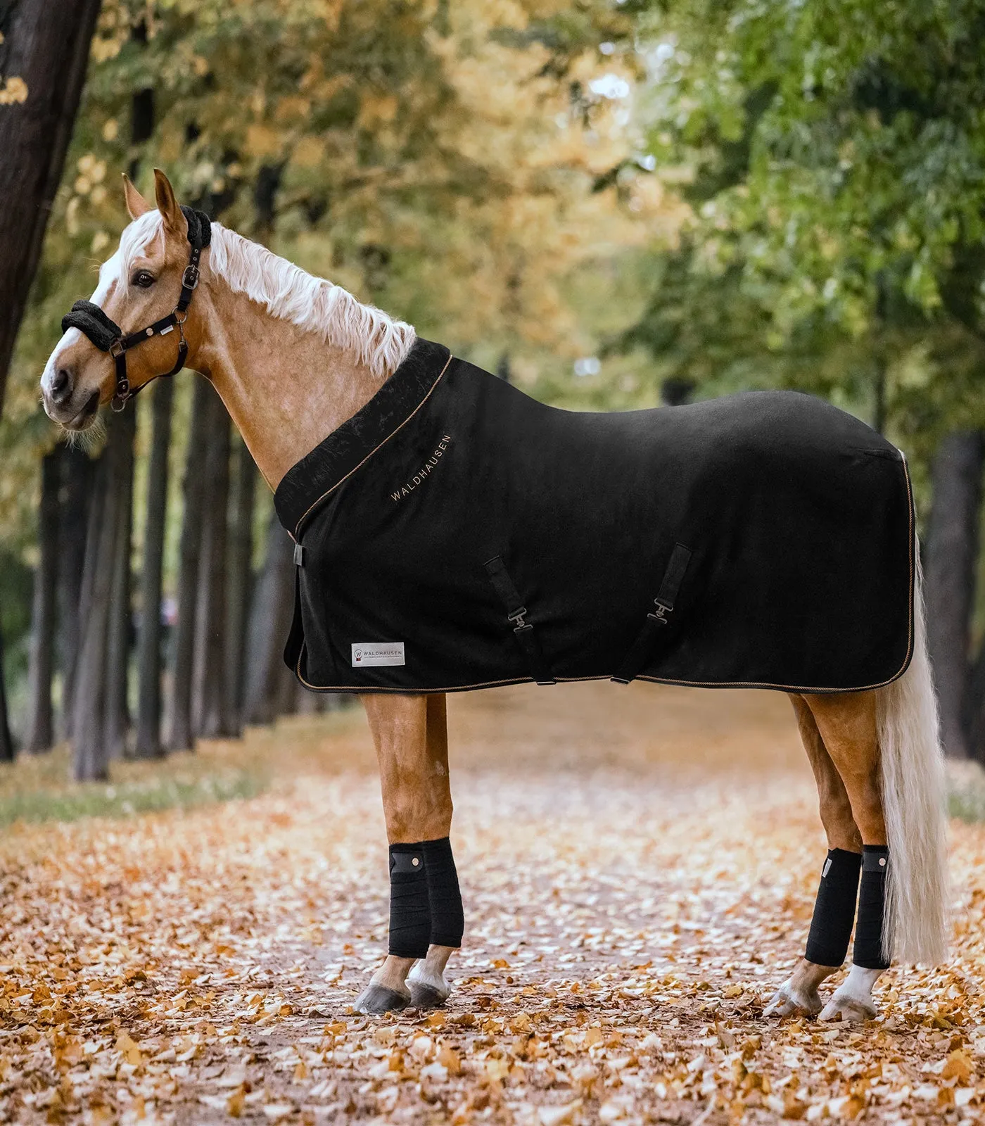 Waldhausen Modern Rosé Fleecedækken