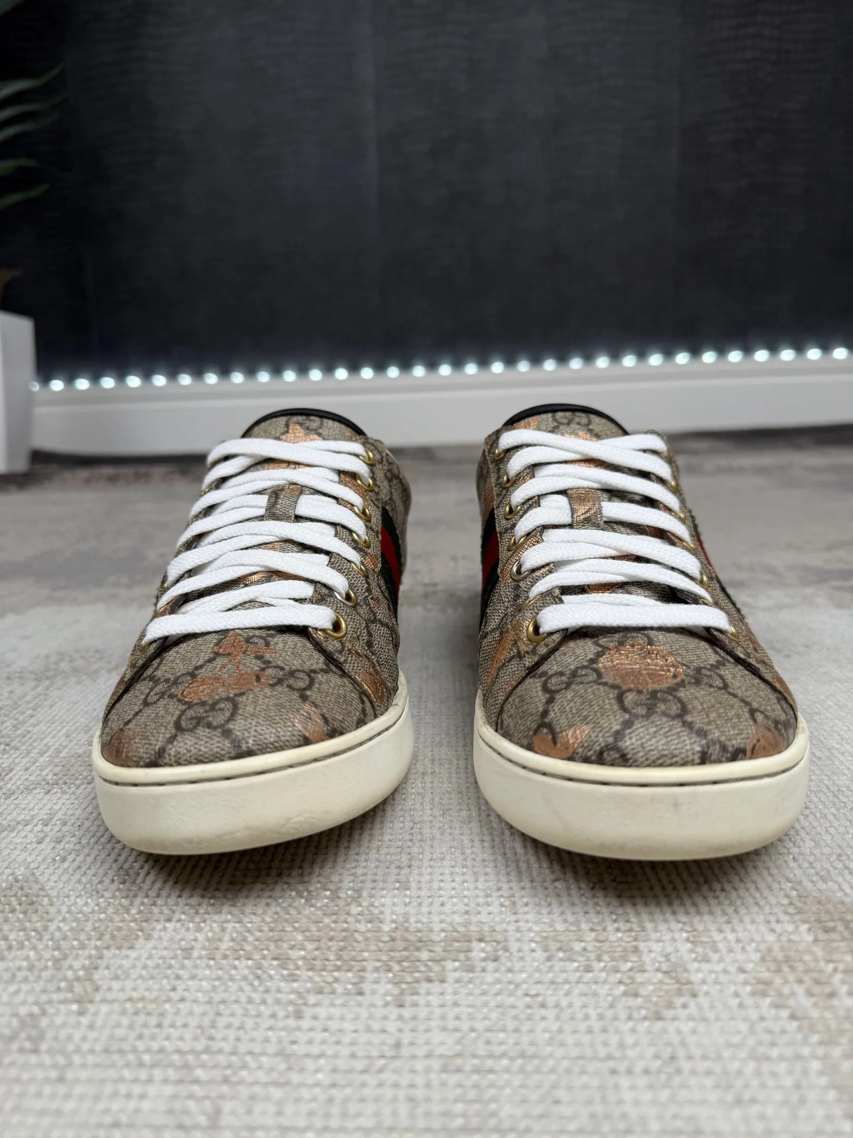WOMENS - Gucci Ace Trainers - Brown
