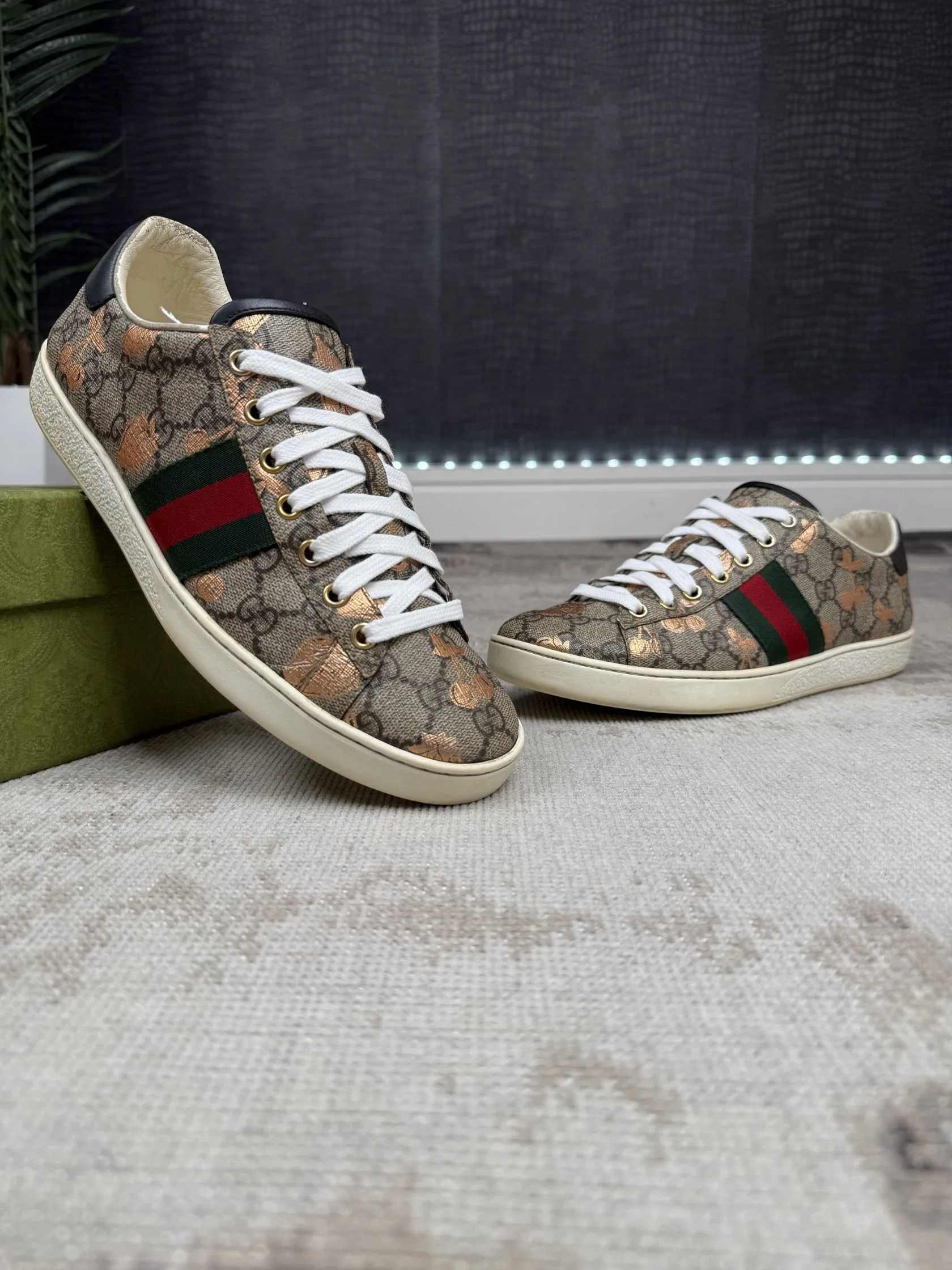 WOMENS - Gucci Ace Trainers - Brown